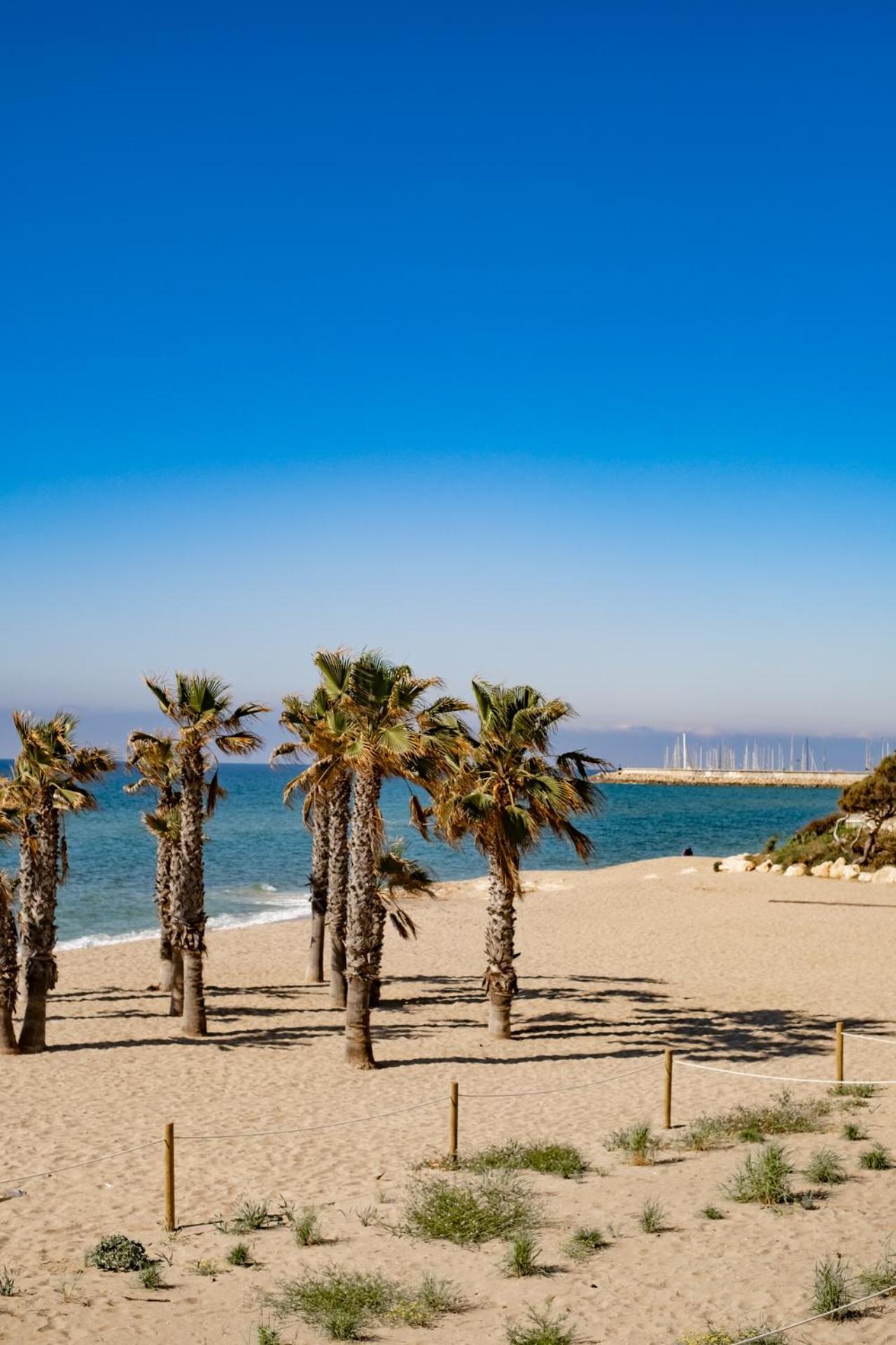 Paraiso Frente Al Mar Apto Duplex Coma-ruga Exteriör bild