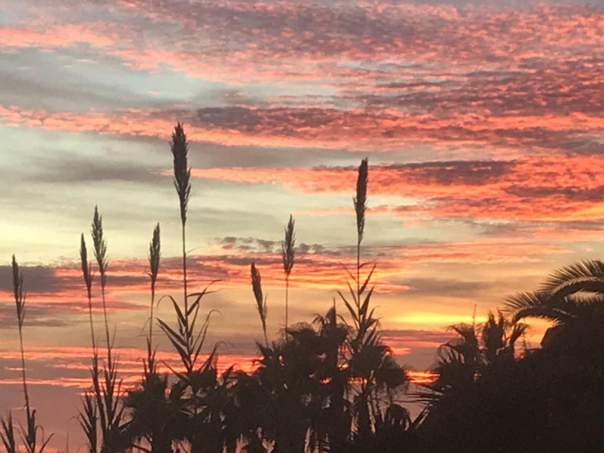 Paraiso Frente Al Mar Apto Duplex Coma-ruga Exteriör bild